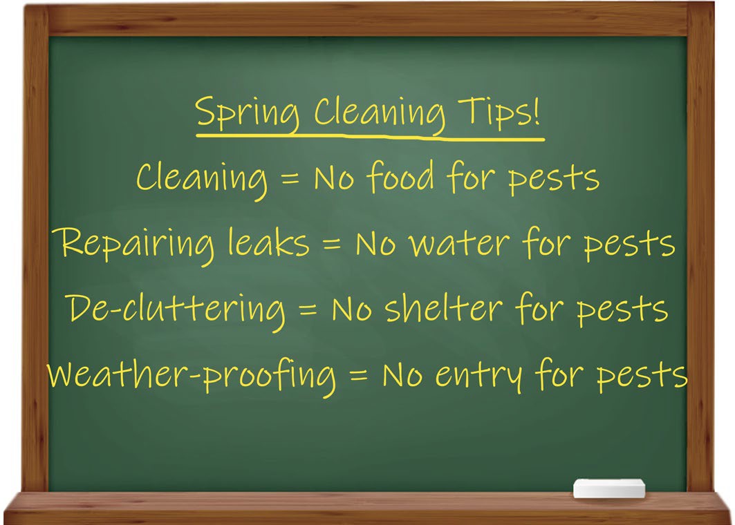 Spring Cleaning Tips. No Food, Water, Shelter, or Weather Proofing for Pests