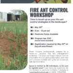 Flyer for the Fire Ant Control Workshop, May 26, 9 am to 12 pm Register at tiny.utk.edu/fireant