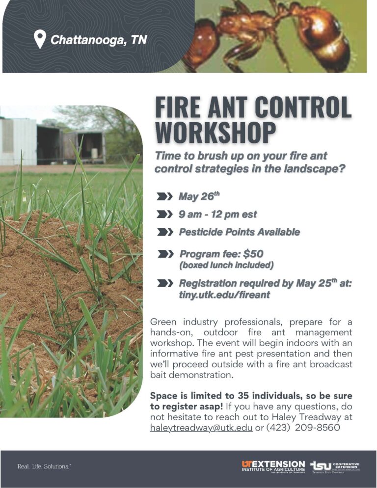 Flyer for the Fire Ant Control Workshop, May 26, 9 am to 12 pm Register at tiny.utk.edu/fireant